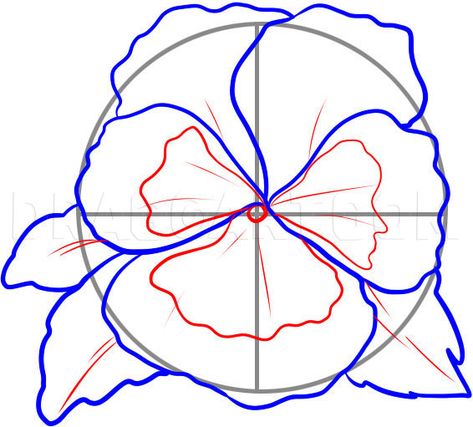 How To Draw A Pansy, Step by Step, Drawing Guide, by Dawn | dragoart.com Pansy Drawing, Draw A Flower, Drawing Guide, Step Drawing, Step By Step Drawing, Pansies, A Flower, Drawing Tutorial, To Draw