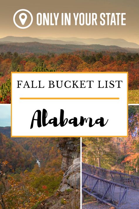 Alabama Bucket List, Alabama Hiking, Things To Do In Alabama, Mentone Alabama, Guntersville Alabama, Fort Payne Alabama, Beautiful Places In Usa, Land Property, Alabama Vacation