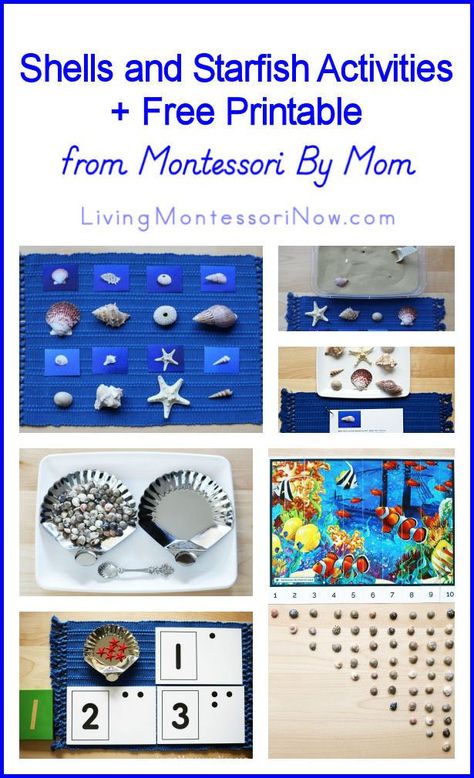 Learning Language Activities from Montessori By Mom + a Giveaway! Starfish Activities, Exploration Activities, Explorers Activities, Montessori Lessons, Practical Life Activities, Ocean Unit, Montessori Practical Life, Ocean Activities, Montessori Preschool