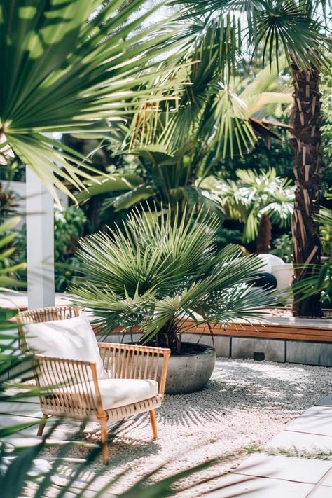 Foxtail Palm - Landscape Ideas for Tropical Vibes Tropical Landscaping Around Pool, Palm Landscaping, Foxtail Palm, Landscaping Around Pool, Palm Trees Landscaping, Small Urban Garden, Travellers Palm, Backyard Balcony, Landscaping Inspiration