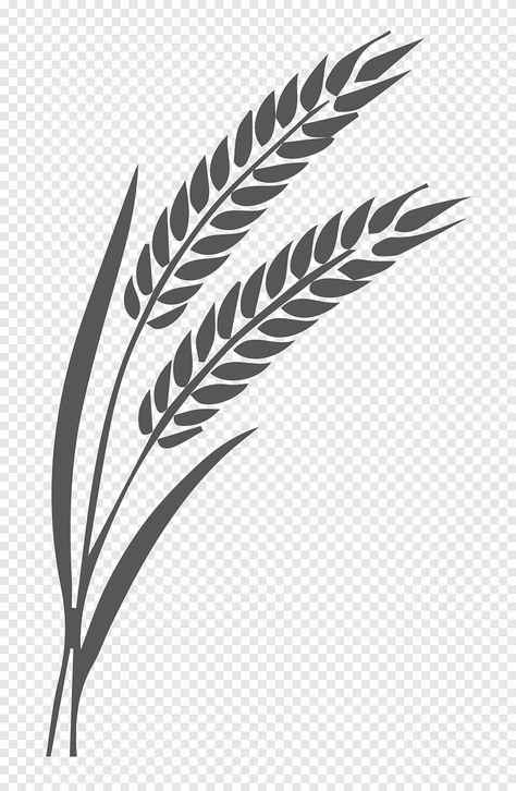 Wheat Graphic, Wheat Drawing, Barley Grain, Grass Drawing, Crop Farming, Leaf Png, Wheat Cereal, Wheat Sheaf, Farm Svg