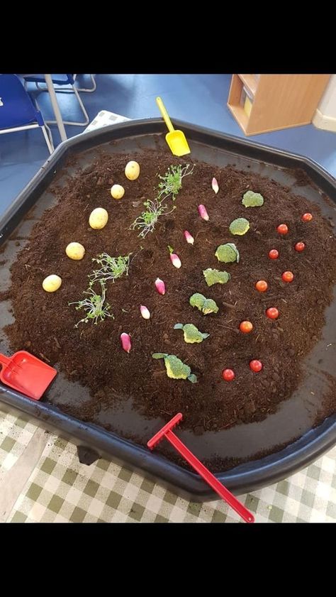 Harvest Festival Tuff Tray Ideas, Tractor Tuff Tray, Edible Tuff Tray Ideas, Food Tuff Tray Ideas, Harvest Tuff Tray Ideas, Easter Tough Tray Ideas, Easter Tuff Tray Ideas Preschool, Spring Messy Play, Harvest Eyfs Activities