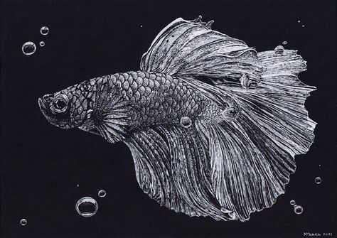 Cockerel Fish White Gel Pen Drawings On Black Paper, White Gel Pen Drawings, White Pen On Black Paper Drawing, Gel Pen On Black Paper, Dot Drawings, Art Topics, Gel Pen Drawings, Black Sketchbook, Alevel Art