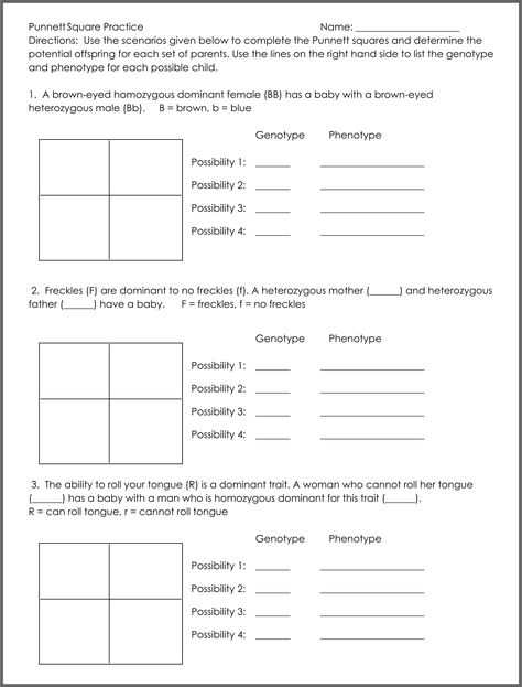 Punnett Square Worksheet PDF Punnett Square Activity Middle School, Punnett Square Activity, Genetics Worksheet, Square Worksheet, Science Subject, Punnett Square, Biology Teaching, Biology Experiments, Punnett Squares