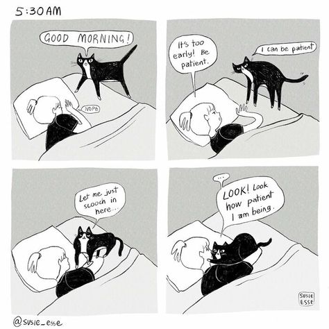 Humor Drawings, Off Color Humor, Spiderman Meme, Inner Thoughts, Cat Comics, Fun Comics, Cute Comics, Cat Illustration, Comic Artist