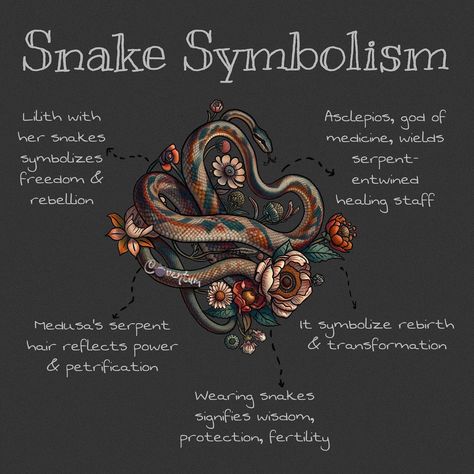 🐍Venture into a world where serpents are not just creatures but symbols of mystique and transformation. Medusa, with her serpent-laden hair, stands as an iconic figure of power and petrification, a testament to the profound impact of snake imagery. Lilith, closely entwined with these creatures, embodies enigmatic strength and rebellion, adding depth to the serpent’s symbolism. These figures, along with Asclepios and his healing staff, paint a vivid picture of how snakes have been revered and .. Magical Snake Art, What Do Snakes Symbolize, Snake Symbolism Meaning, Lilith Snake, Snake Personality, Serpent Symbolism, Snake Witch, Snake Symbolism, Snake Meaning