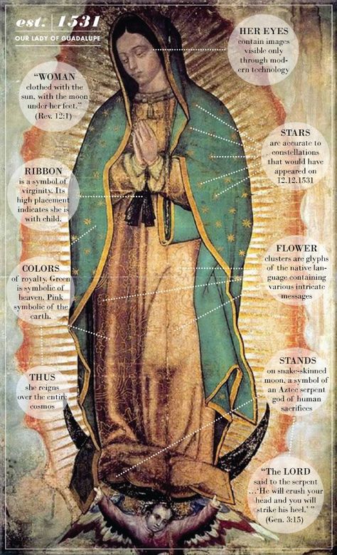 Catholic Homeschool, Catholic Beliefs, Blessed Mary, Virgin Of Guadalupe, Queen Of Heaven, Art Sacre, San Michele, Blessed Mother Mary, 12 December