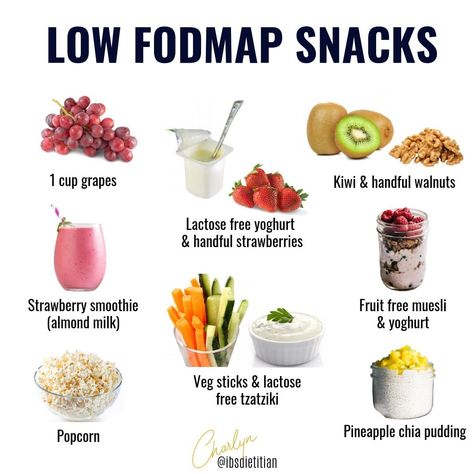 Foods For Ibs Diet Plans, Fodmap Snacks On The Go, Low Fodmap Snack Recipes, Low Food Map Snacks, Ibs Safe Foods, Ibs Friendly Snacks, Low Fodmap Diet For Beginners, Ibs Diet Recipes Dinner, Ibs Lunch Ideas