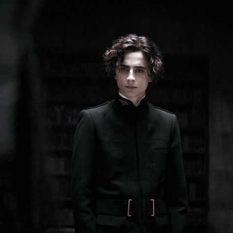 Regulus Black Timothee Chalamet, Regulus Black Fan Cast, Kwisatz Haderach, Dune Timothee Chalamet, Dune Timothee, Regulus Acturus Black, Paul Atreides, Boyfriend Outfit, Regulus Black