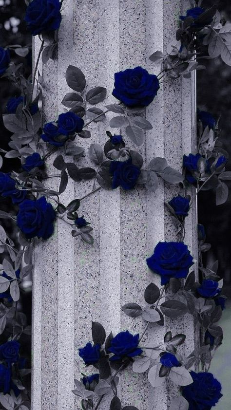 Iphone Esthetics, Beautiful Spine Tattoos, Spine Tattoo Ideas, Flowers Photography Wallpaper, Pretty Phone Wallpaper, Pretty Backgrounds, Nothing But Flowers, Spine Tattoo, Cute Flower Wallpapers