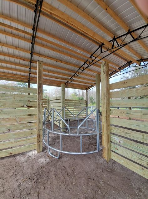 Small Horse Barns, Livestock Barn, Barn Layout, Barn Hacks, Horse Farm Ideas, Horse Paddock, Diy Horse Barn, Cattle Barn, Horse Barn Ideas Stables