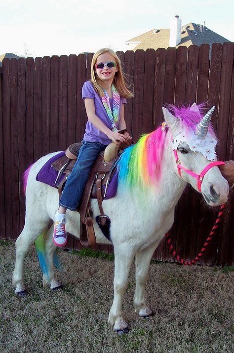 Pony rides! Unicorn Real, Shawn Mendes Memes, Real Unicorn, Mini Pony, Unicorn Pictures, Magcon Boys, Pony Party, Black Families, Cute Horses