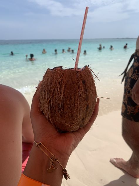 Coconut drink at Cabbage Beach, Nassau, Bahamas Cute Coconut, Coconut Drink, Coconut Drinks, Nassau Bahamas, Nassau, Bahamas, Coconut, Instagram Profile, Fruit