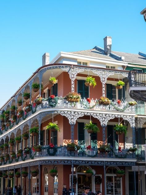 5 Best Places to Eat in New Orleans - Practical Wanderlust New Orleans Bachelorette, New Orleans Architecture, Dead Of Summer, Bachelorette Party Destinations, New Orleans Hotels, American Horror Story Coven, Visit New Orleans, Garden District, Central Business District