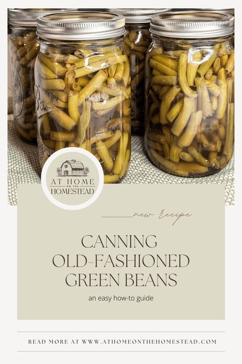 Canning green beans the old-fashioned way is easier than you might think. Learn how to preserve this simple side dish for your own pantry! Canning Green Beans, Canning Beans, Pressure Canning Recipes, Canning Fruit, Canning Vegetables, Can Green Beans, Canned Food Storage, Canning Tips, Home Canning