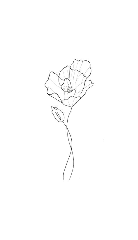 Line Poppy Tattoo, Fine Line Poppy, Fine Line Poppy Tattoo, Poppy Tattoo, Poppies Tattoo, Tattoo Sketch, Fine Line, Tattoo Sketches, Tatting