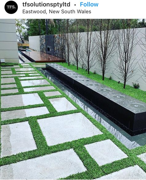 Groundcover is Dichondra repens. Design/landscaping by Rolling Stones Landscapes Diy Paving Ideas, Plant Tiles, Dichondra Repens, Tiles Australia, Diy Paving, Concrete Pavers Walkway, Pavers Walkway, Sidewalk Landscaping, Grass Alternative