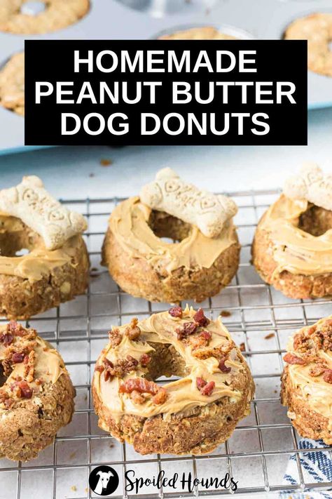 Donuts For Dogs, Dog Birthday Parties, Donut Ideas, Pet Recipes, Pet Treats Recipes, Easy Dog Treat Recipes, Dog Biscuit Recipes, Easy Dog Treats, Healthy Dog Treats Homemade