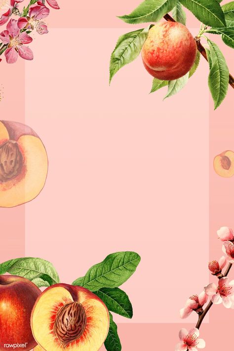 Hand drawn natural fresh peaches background illustration | premium image by rawpixel.com / nap Peaches Background, Peach Food, Food Frame, Food Background, Space Vector, Flower Sketch, Peach Background, Fresh Peaches, Hand Images