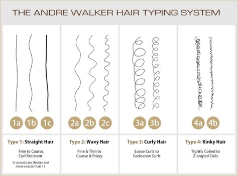 Hair Porosity & Curl Pattern – Curls & Potions Tight Curly Hair, Loose Curls Hairstyles, Straight Hairstyles Medium, Course Hair, Breaking Hair, Fine Straight Hair, Curly Hair Types, Hair Porosity, Different Hair Types