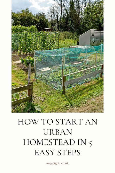 Living off the land has never been easier thanks to Amy Pigott and her five easy steps for starting an urban homestead! From growing your own food to harvesting rainwater and creating an off-grid energy system, Amy's guide will help you create a sustainable, eco-friendly lifestyle in the city! Homestead Kitchen, Urban Homestead, Allotment Gardening, Homestead Life, Growing Your Own Food, Flat Apartment, Urban Homesteading, Food Scraps, Living Off The Land