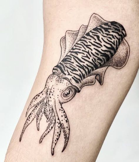 Cuttlefish Tattoo, Cephalopod Tattoo, Tattoo Dino, Sea Tattoo Sleeve, Aquatic Tattoo, Squid Tattoo, Minimal Tattoo Ideas, Funky Tattoos, Sea Tattoo