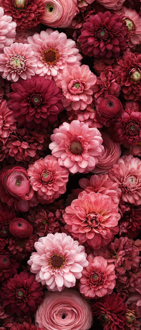 Flowery Wallpaper Aesthetic, Fall Floral Wallpaper Iphone, Pink Fall Wallpaper Iphone, Pink And Red Aesthetic Wallpaper, Pretty Flowers Wallpaper, Mum Wallpaper, Iphone Wallpaper Flowers, Beautiful Aesthetic Wallpaper, Screen Savers Iphone