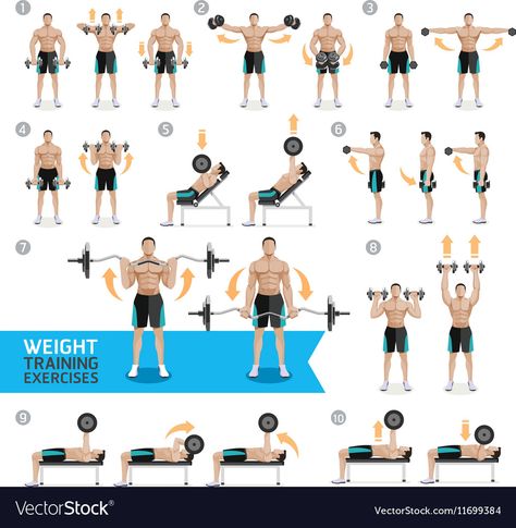 Shoulder Workout Routine, Weight Lifting Routine, Dumbbell Exercises, Workout Training Programs, Workout Posters, Weight Training Workouts, Senior Fitness, Dumbbell Workout, Shoulder Workout