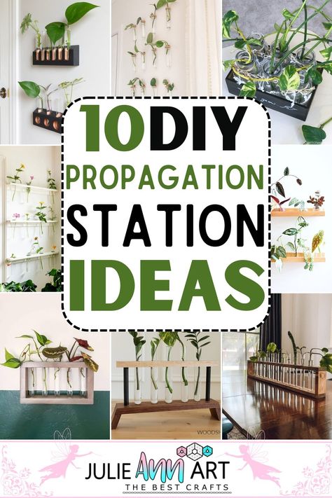 DIY Propagation Station Ideas 1 Planting Station Diy, Plant Propagation Hacks, Propogation Wall Ideas, Plant Wall Propagation, Easy Plant Propagation, Wooden Propagation Station, Propergation Station Diy, Window Propagation Station, Propagation Station Ideas