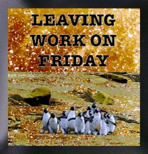 Friday After Work Humor, Leaving Work On Friday, Friday Dance, Morning Friday, Thinking Of You Quotes, Good Morning Happy Friday, Good Morning Friday, Happy Friday Quotes, Friday Quotes