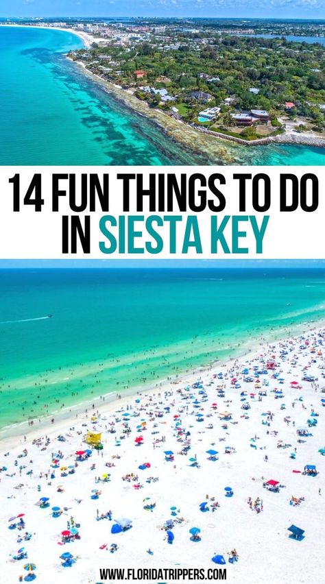 Fun Things To Do In Siesta Key Turtle Beach Florida, Siesta Beach Florida, Siesta Key Village, Florida Activities, Florida Vacation Spots, Florida Trail, New Smyrna Beach Florida, Siesta Beach, Siesta Key Florida