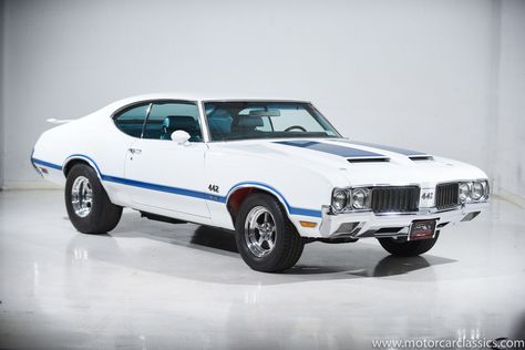 Olds 442, Cool Old Cars, Oldsmobile 442, Luxury Car Dealership, Vintage Muscle Cars, Vintage Muscle, Garage Art, Cars Luxury, Oldsmobile Cutlass