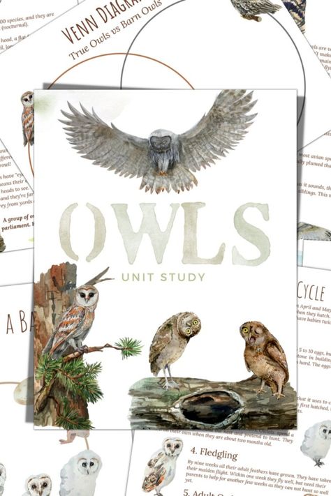 OWLS Unit Study, Life Cycle, Anatomy, Nature Study, Science, Handwriting, Homeschool Owl Unit Study, Owl Printables, Kindergarten Units, Homeschool Nature Study, Nature School, Animal Study, Forest School, Diary Ideas, Nature Study