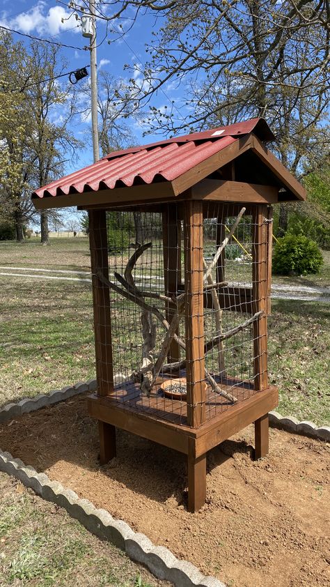 Bird Feeder Stations For Yards, Backyard Bird Feeders Garden Ideas, Platform Bird Feeder Diy, Outdoor Bird Feeder Station, Backyard Bird Feeding Stations, Birds Cage Ideas Outdoor, Covered Bird Feeder, Bird Feeder Station Ideas, Caged Bird Feeders