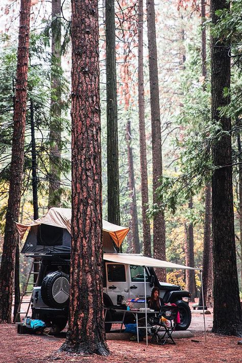 Serene mornings with Front Runner Outfitters overlanding gear including a Roof Top Tent, Awning, Stainless Steel Table, and Easy Out Chairs. Making everywhere home away from home. Photo Cred: @elniniocamo Truck Camping Setup, Camping Setup Ideas, Apache Camper, Overlanding Gear, Overland Camping, Camping Setup, Jeep Camping, Truck Tent, Camping Set Up