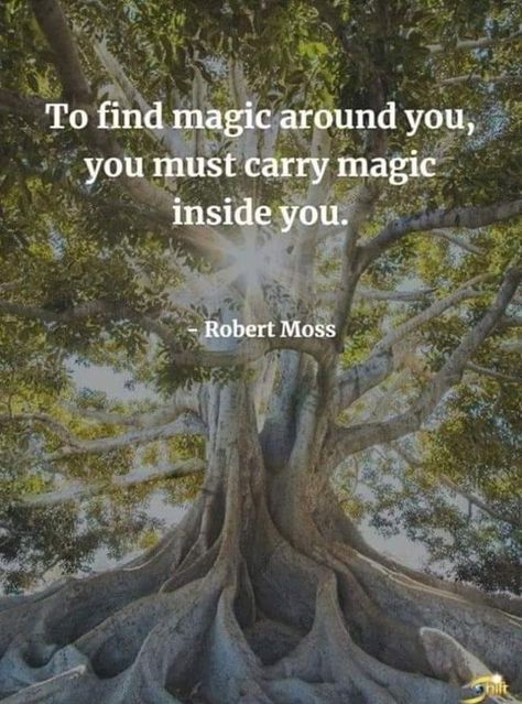 to find magic around you, you must carry magic inside you #lawofattraction #manifestation #selfdevelopment Magic Quotes, Perfection Quotes, Quotable Quotes, Great Quotes, Inspire Me, Law Of Attraction, Inspirational Words, Wise Words, Favorite Quotes