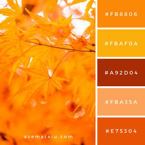 Maple leaf Color Palette #301 - Color combination, Color pallets, Color palettes, Color scheme, Color inspiration, Colour Palettes, Art, Inspiration, Vintage, Bright, Blue, Warm, Dark, Design, Yellow, Green, Grey, Red, Purple, Rustic, Fall, Autumn, Winter, Summer 2019, Nature, Spring, Summer, Flowers, Sunset, Sunrise, Pantone https://avemateiu.com/color-palettes/ Nude Moodboard, Leaf Color Palette, Wardrobe Palette, Pallets Color, Fall Color Combinations, Grid Ideas, Combination Color, Palettes Color, Flowers Sunset