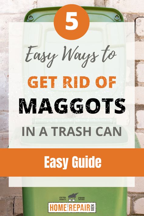 Trash can with maggots on top of trash inside Clean Garbage Can, Garbage Can Deodorizer Diy, Maggots In Trash Can, How To Repel Flies, Fly Repellant Diy, Bag Worms, Garbage Dumpster, Repel Flies, Fly Infestation