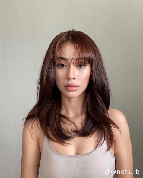 Brown Hair Inspiration, Hair Color Asian, Red Hair Inspo, Brown Hair Looks, Hair Tint, Ginger Hair Color, Hair Color Auburn, Peinados Fáciles Para Cabello Corto, Hair Stylies