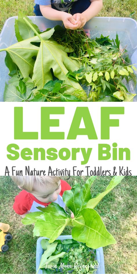 Nature Sensory Bin, Sensory Play For Toddlers, Green Activities, Sensory Play Toddlers, Toddler Sensory Bins, Indoor Toddler Activity, Science For Toddlers, Plant Activities, Garden Activities