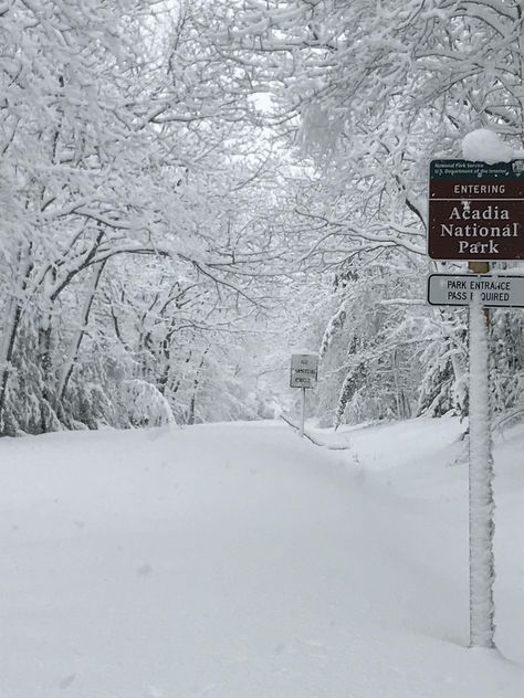 Why visit Bar Harbor during the winter months? - Blog - Bar Harbor Chamber of Commerce, ME Acadia National Park Winter, Bar Harbour, Maine Winter, Cross Country Skier, Bar Harbor Maine, Maine Vacation, Mount Desert Island, Maine Travel, Vacation Mood