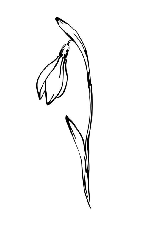 Snowdrop half opened flower outline ink drawing vector elegant line art spring floral element on white background Snowdrop Line Drawing, Snowdrop Outline, Half Flower Drawing, Snowdrop Drawing, Flower Outline Art, Snowdrop Flower Tattoo, Snowdrop Flower, Single Line Tattoo, Flower Tattoo Back