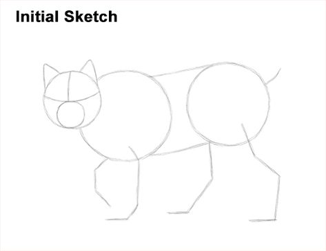 How to draw a Lynx STEP BY STEP Drawing Instructions, Learn How To Draw, Step By Step Drawing, Lynx, Learn To Draw, To Draw, Step By Step, Arts And Crafts, Drawings