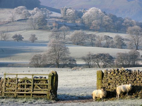 Big Valley, I Love Winter, Art Pastel, Winter Scenery, Winter Wonder, English Countryside, New Energy, Winter Aesthetic, Carpe Diem