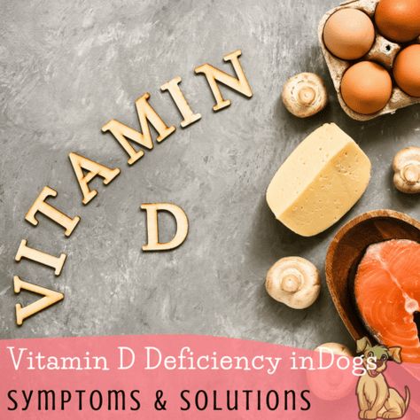 Vitamin D Deficiency Symptoms, Raw Feeding For Dogs, Vitamin B Supplements, Pet Vitamins, Raw Dog Food Diet, Vitamin D2, Digestive Supplements, Green Lipped Mussel, Recipe Drawing