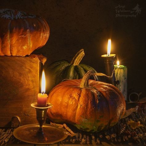 Pumpkins And Candles, Candles Cozy, Countryside Farmhouse, Pumpkin Photography, Cottagecore Country, Goblincore Aesthetic, October Autumn, Samhain Halloween, Halloween Facts