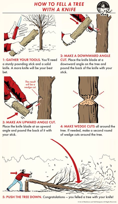 Survival Skills Emergency Preparedness, Camping Gear Survival, Survival Skills Life Hacks, Emergency Preparedness Kit, Apartment Luxury, Art Of Manliness, Survival Life Hacks, Survival Techniques, Balcony Ideas Apartment