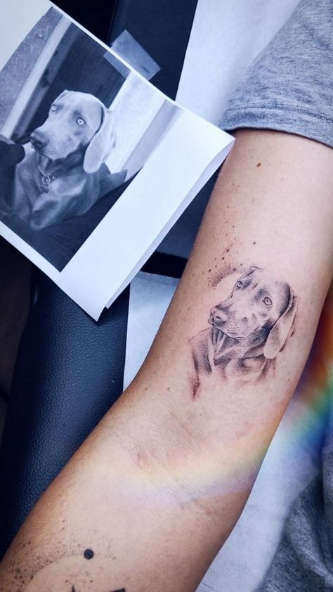 Express your love for your pet with a stunning pet-themed tattoo design that reflects their unique spirit. #LoveForPets #PetArt Bicep Dog Tattoo, Dog Sketch Tattoo, Weimaraner Tattoo, Charlie Tattoo, Pet Tattoo Ideas, Pet Memorial Tattoo, Pet Tattoos, Dog Portrait Tattoo, Puppy Tattoo