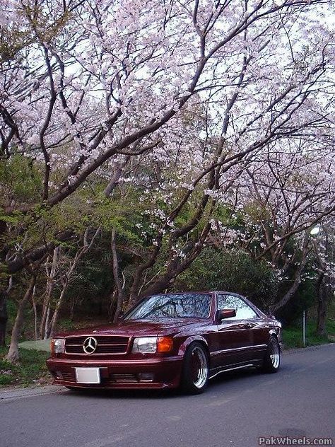 Mercedes 560 amg widebody - Vintage and Classic Cars - PakWheels Forums 560sec Amg, Mercedes Benz 560 Sec Amg, Mercedes 560 Sec, 560 Sec Amg, Ldr Aesthetic, Mercedes Sec, 560 Sec, Mercedes W126, Mercedes 500