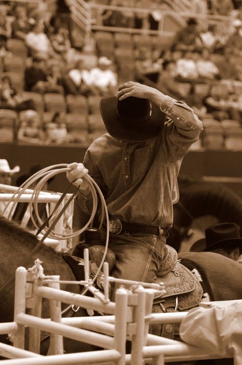 Joel Bach - Team Roper Team Ropers Rodeo Cowboys, Rancho Life, Rodeo Photography, Roping Horse, Horse Senior Pictures, Cowboy Photography, Team Roper, Cowboy Life, Rodeo Cowboys